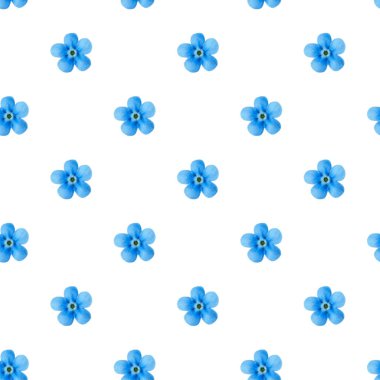 Beyaz arka planda izole edilmiş küçük mavi çiçekler. Kusursuz desen.
