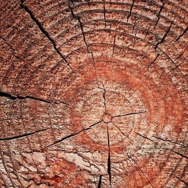 Antigua superficie cortada en madera con grietas y anillos anuales. — Foto de Stock