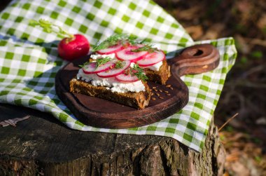 Ormanda bir güdük üzerinde sandviç