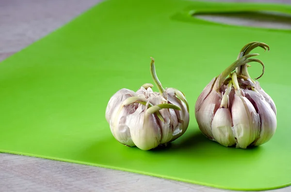 İki diş sarımsak filizi tablo ile