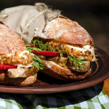 Tavuk bir piknik ile iki sandviç