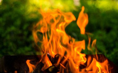 Izgara odun yanan ateş