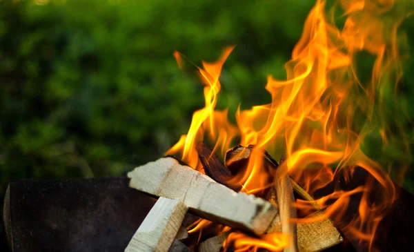 Fire from burning wood in the grill — Stock Photo, Image