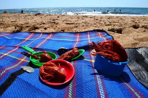 Um lanche leve na praia . — Fotografia de Stock