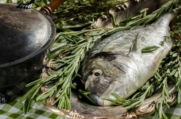 Pesce fresco con erbe e spezie — Foto Stock