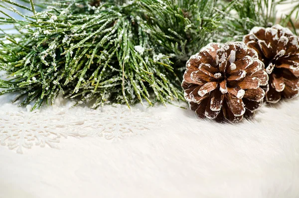 松ぼっくりと松の枝クリスマス組成 — ストック写真