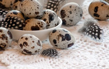 Tablo ve tüyler bir tepside bıldırcın yumurtası