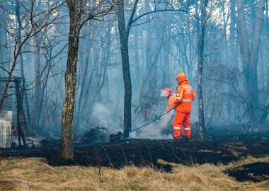 Civil protection of Friuli Venezia Giulia in action for extinguish a fire in the forest