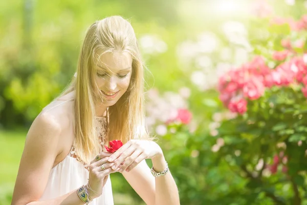 Portrait de belle jeune femme naturelle tenant rose rouge dans la main dans la roseraie — Photo