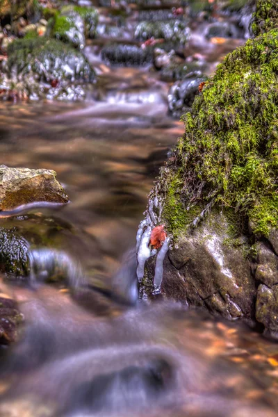 自然のトンネルと Rakov Skocjan 谷の橋 — ストック写真