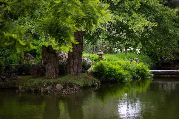 Jardim japonês no verão — Fotografia de Stock