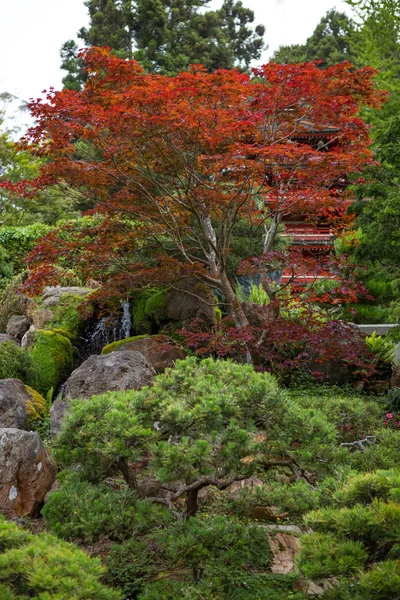 Jardim Japonês — Fotografia de Stock