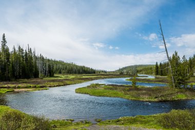 Yellowstone Milli Parkı