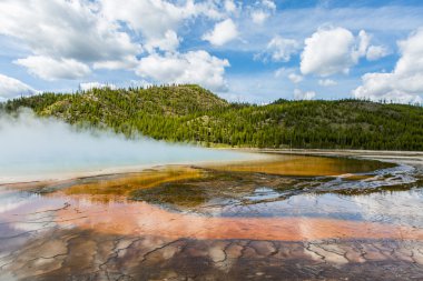 Gayzer buharı yellowstone Milli Parkı içinde