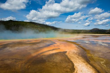 Prismatic Spring Yellowstone national park clipart