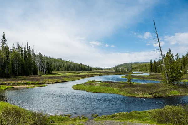 Parque Nacional de Yellowstone — Fotografia de Stock