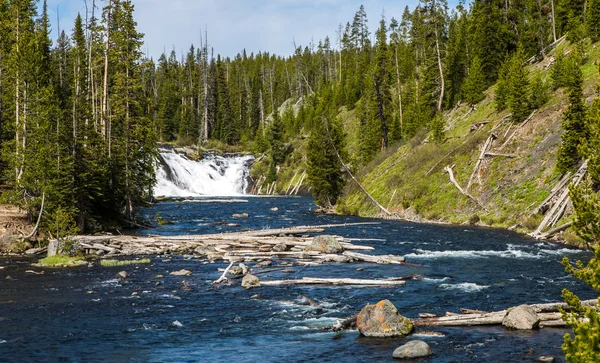 Yellowstone-Nationalpark — Stockfoto