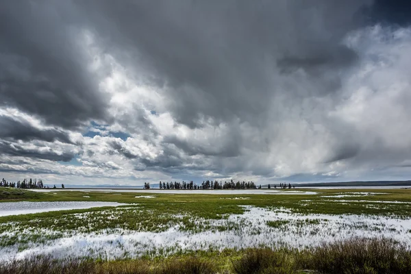 Yellowstone nationalpark — Stockfoto