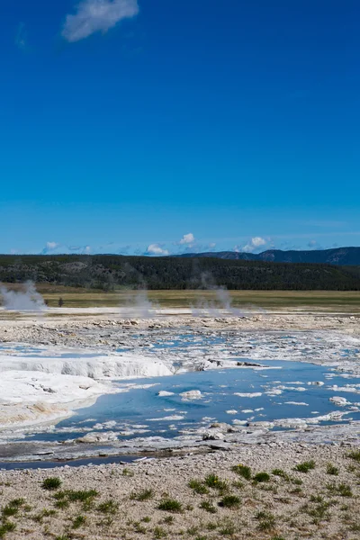 Gejzír pára a yellowstone nemzeti parkban — Stock Fotó