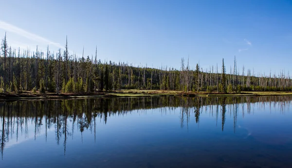 Yellowstone nationalpark sjöar — Stockfoto