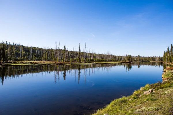 Lagos do parque nacional de Yellowstone — Fotografia de Stock