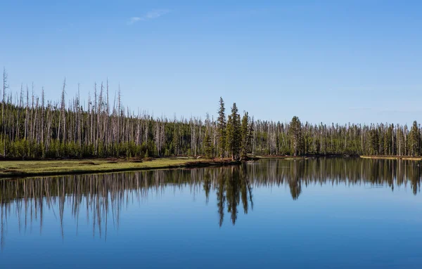 옐로스톤 국립 공원 호수 — 스톡 사진