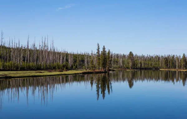 Lagos do parque nacional de Yellowstone — Fotografia de Stock