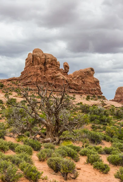 Parque Nacional Arches — Foto de Stock