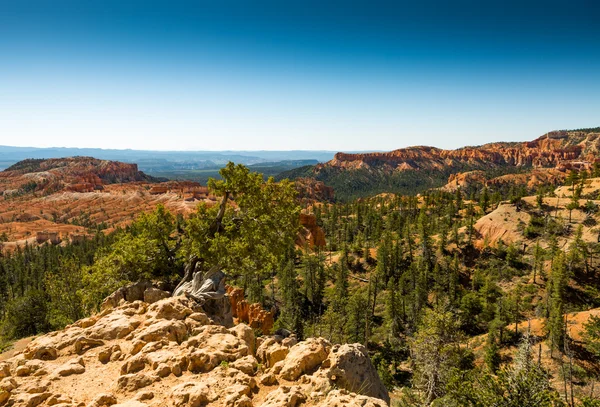 Bryce Canyon Panorama — Stock Photo, Image