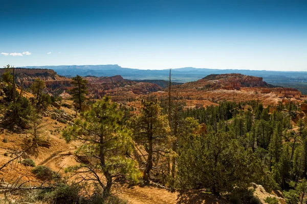 Bryce Canyon Panorama — Stock Photo, Image