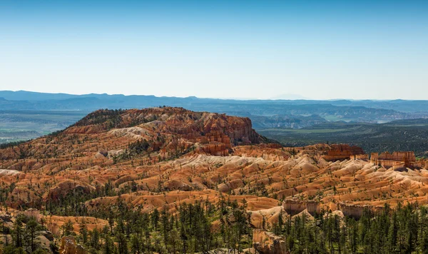 Bryce Canyon Panorama — Stock Photo, Image