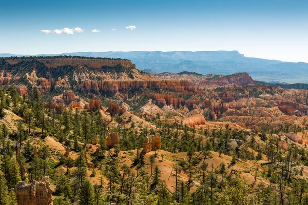 Bryce Canyon Panorama — Stock Photo, Image