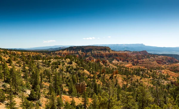 Bryce Canyon Panorama — Stock Photo, Image