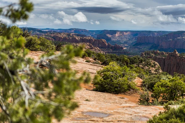 Navajo nationalmonument panoramautsikt — Stockfoto