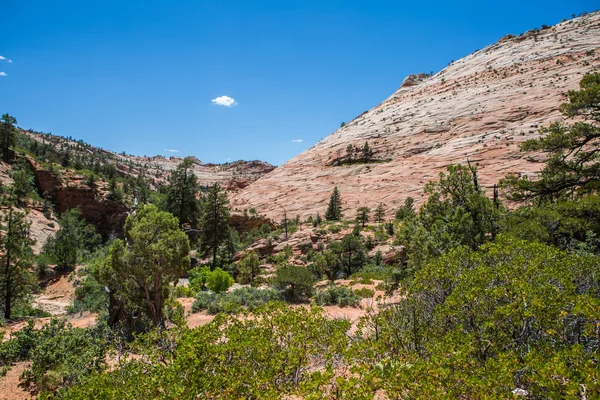 Parco nazionale del Bryce Canyon — Foto Stock