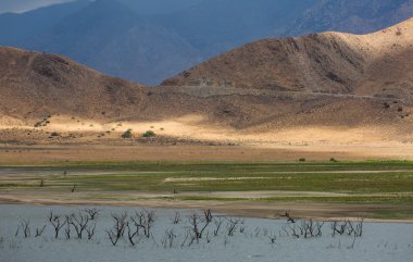 Göl Isabella California