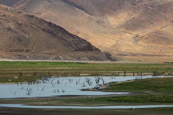 Lake Isabella mrtvé stromy mimo vodu — Stock fotografie