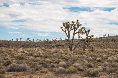 Death Valley California