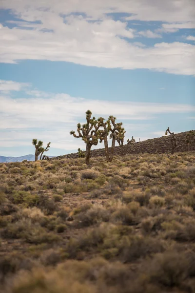 Death Valley California — Stock Photo, Image