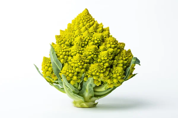 Romanesco broccoli cabbage isolated on a white background — Stock Photo, Image