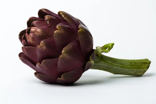 Fresh roman artichokes isolated on white background — Stock Photo, Image