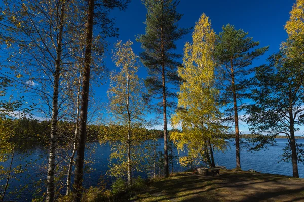 Finlandiya Lakeland sonbaharda