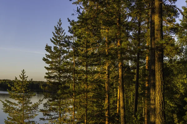 Jesień w Finlandii Lakeland — Zdjęcie stockowe