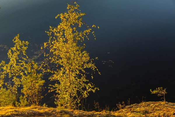 Finlandiya Lakeland sonbaharda
