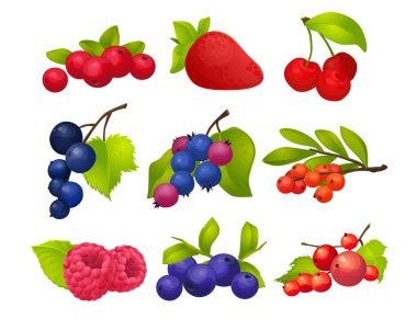 Çilek, küme, arka plan, çilek, ahududu, kiraz, frenk üzümü, üvez, yaban mersini, cranberries ile büyük set,