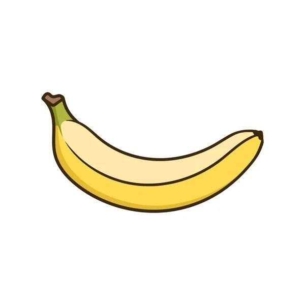 Handgetekende Banaan Fruit Vector Geïsoleerd — Stockvector