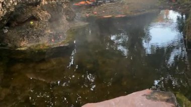 Su sisli taşlı küçük gölet