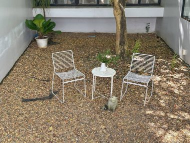 Bahçede kayalık beyaz metal sandalyeler