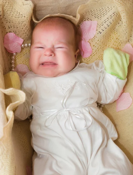 Novorozence baby cry — Stock fotografie
