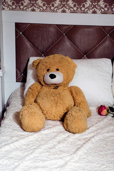 Teddy bear on  classic furniture bed with pillows — Stock Photo, Image